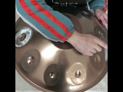 레이센 핸드팬 | Raysen 9, 10 Notes D Kurd Handpan - Entry 모델